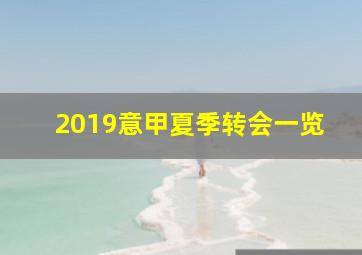 2019意甲夏季转会一览