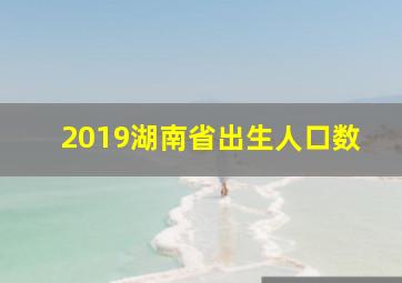 2019湖南省出生人口数