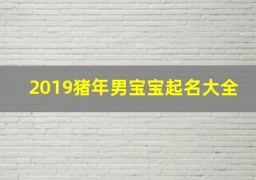 2019猪年男宝宝起名大全