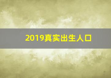 2019真实出生人口