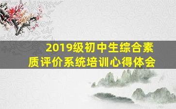 2019级初中生综合素质评价系统培训心得体会