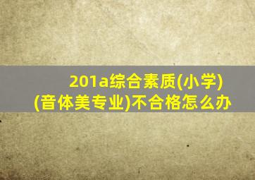 201a综合素质(小学)(音体美专业)不合格怎么办