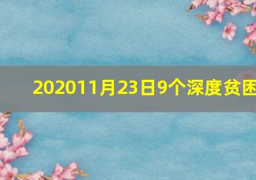 202011月23日9个深度贫困