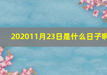 202011月23日是什么日子啊