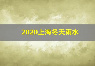 2020上海冬天雨水