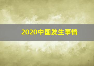 2020中国发生事情