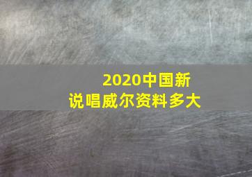 2020中国新说唱威尔资料多大