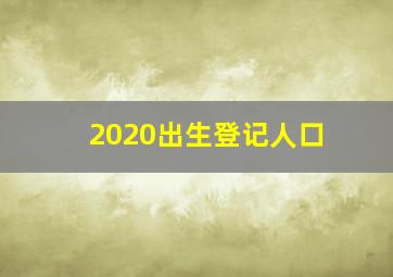 2020出生登记人口