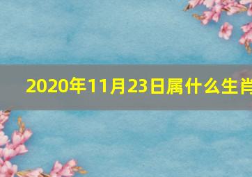 2020年11月23日属什么生肖