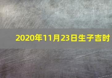 2020年11月23日生子吉时