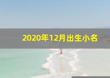 2020年12月出生小名