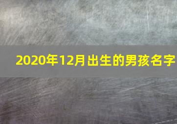 2020年12月出生的男孩名字