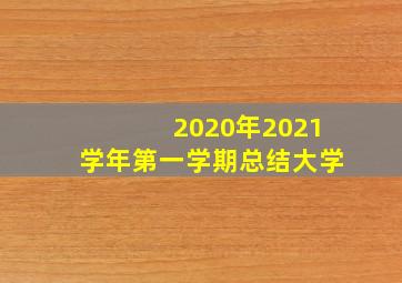 2020年2021学年第一学期总结大学