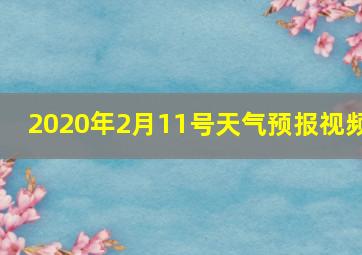 2020年2月11号天气预报视频