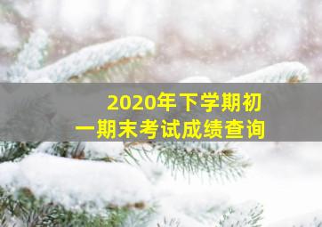 2020年下学期初一期末考试成绩查询