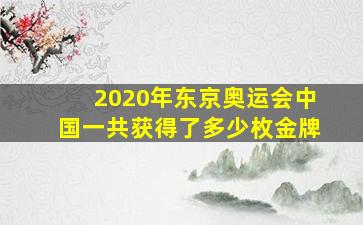 2020年东京奥运会中国一共获得了多少枚金牌