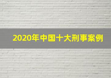 2020年中国十大刑事案例