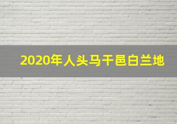 2020年人头马干邑白兰地