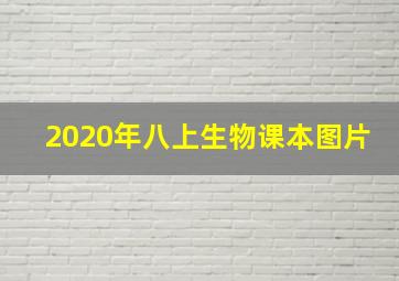 2020年八上生物课本图片