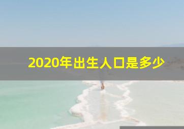 2020年出生人口是多少