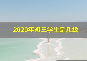 2020年初三学生是几级