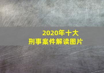 2020年十大刑事案件解读图片