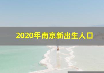 2020年南京新出生人口