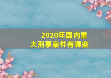 2020年国内重大刑事案件有哪些