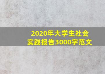 2020年大学生社会实践报告3000字范文