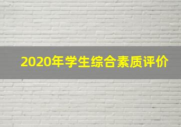 2020年学生综合素质评价