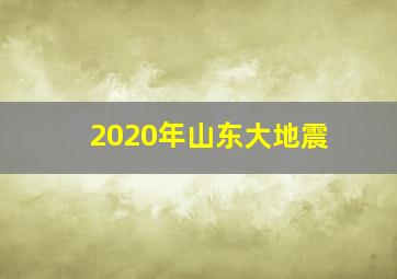 2020年山东大地震