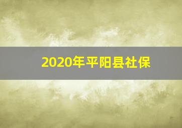 2020年平阳县社保