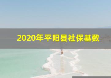 2020年平阳县社保基数