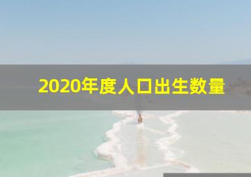 2020年度人口出生数量