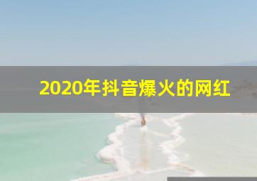 2020年抖音爆火的网红