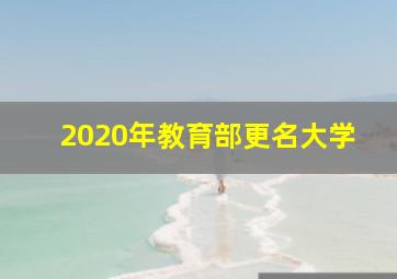 2020年教育部更名大学