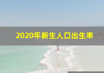 2020年新生人口出生率