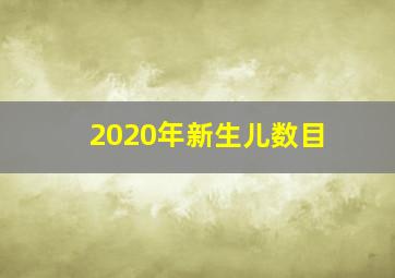 2020年新生儿数目