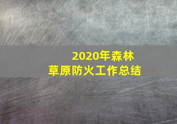 2020年森林草原防火工作总结