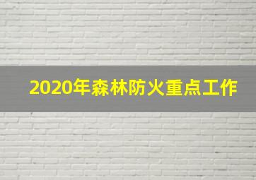 2020年森林防火重点工作