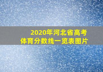 2020年河北省高考体育分数线一览表图片