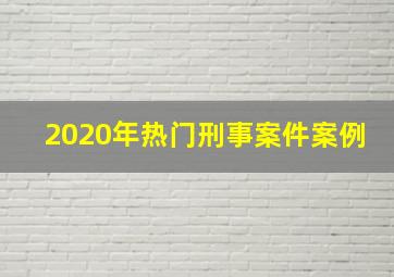 2020年热门刑事案件案例