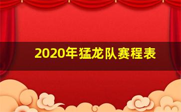 2020年猛龙队赛程表