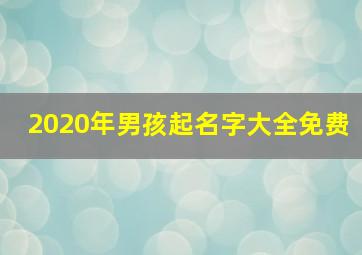 2020年男孩起名字大全免费