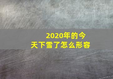 2020年的今天下雪了怎么形容