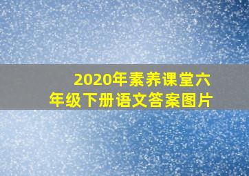 2020年素养课堂六年级下册语文答案图片