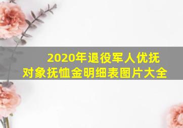 2020年退役军人优抚对象抚恤金明细表图片大全