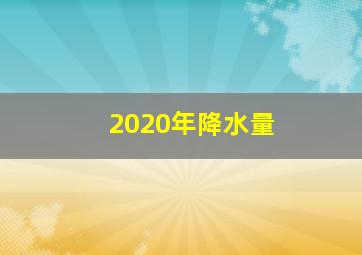 2020年降水量