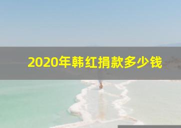 2020年韩红捐款多少钱