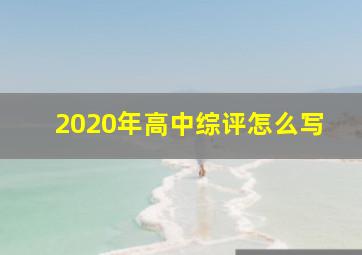 2020年高中综评怎么写